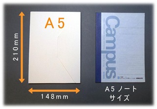 size2.jpg